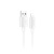 DTC-LTG-HCO-X107-W_1