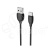 DTC_TPC-BFN-BX19-B